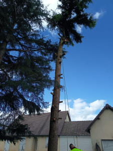 Photo de galerie - Après 