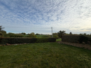 Photo de galerie - Taille d’une haie champêtre avec évacuation