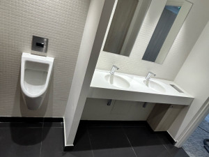 Photo de galerie - Double lave main 