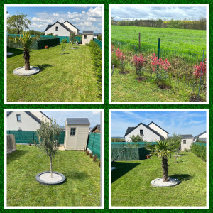 Photo de galerie - Entretien des extérieurs (tonte de pelouse, taille de haies, d’arbuste, plantation..)