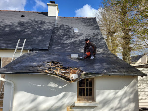 Photo de galerie - Un arbre à tomber sur la toiture