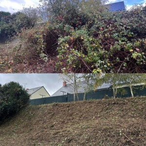 Photo de galerie - Avant / après d’un débroussaillage