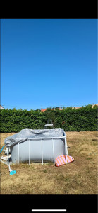 Photo de galerie - Elagage et coupe d'arbres