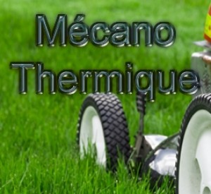 Photo de galerie - Reparation tondeuse