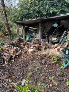 Photo de galerie - Elagage et coupe d'arbres