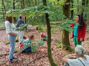 Photo de galerie - Je propose des ateliers et des journées pour découvrir 
 le pouvoir énergétique des 
arbres
