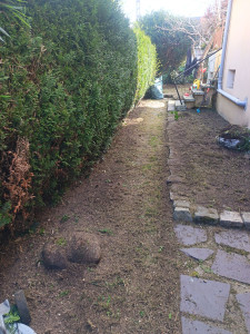 Photo de galerie - Entretien d une cours d un client très satisfait.