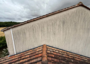 Photo de galerie - Nettoyage façade avant traitement