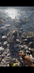 Photo de galerie - .