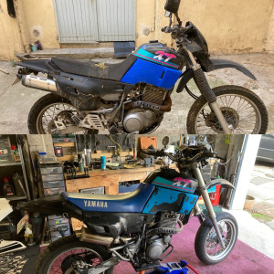 Photo de galerie - Restauration 