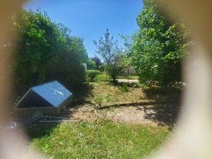 Photo de galerie - Elagage et coupe d'arbres