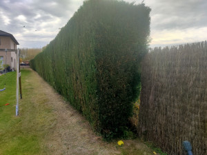 Photo de galerie - Après 