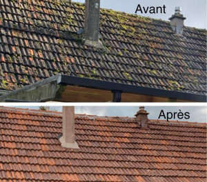 Photo de galerie - Rénovation d'une toiture par procédé traitement curatif