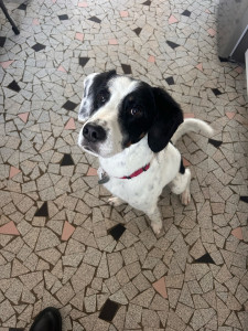 Photo de galerie - Obi-Wan, en garde récurrente 