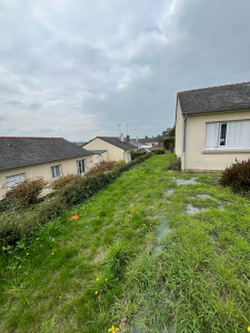 Photo de galerie - Tonte dé pelouse / avant 