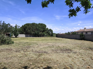 Photo de galerie - Entretien jardinage 