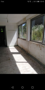 Photo de galerie - Peinture - Tapisserie