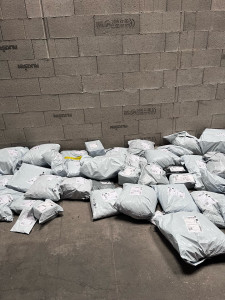 Photo de galerie - Livreur 