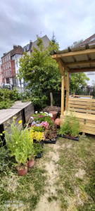 Photo de galerie - Paysagiste - Aménagement du jardin