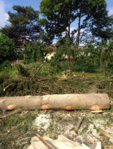 Photo de galerie - Réalisation d'un Banc de jardin avec le tronc du sapin 