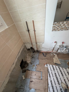 Photo de galerie - Transformer une baignoire par une douche