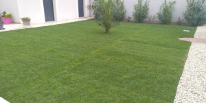 Photo de galerie - Engazonnage