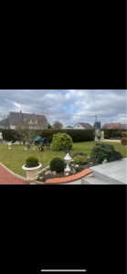 Photo de galerie - Tonte 