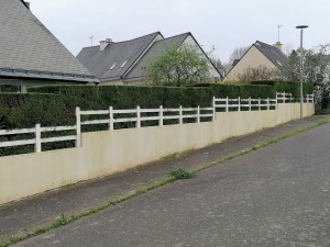 Photo de galerie - Taille de haie
