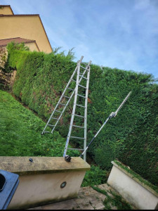 Photo de galerie - Bonjour je vous propose mais service d'entretien d'espaces verts