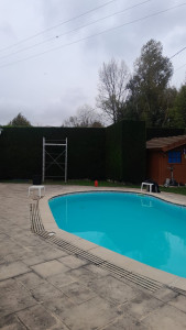 Photo de galerie - Paysagiste - Aménagement du jardin