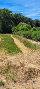 Photo de galerie - Clôture Grillage