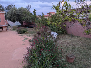 Photo de galerie - Tonte de pelouse - Débroussaillage