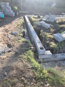 Photo de galerie - Bo