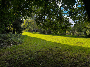 Photo de galerie - Tonte 