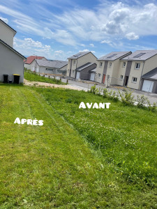 Photo de galerie - Tonte de pelouse - Débroussaillage