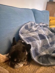 Photo de galerie - Mon pépère 