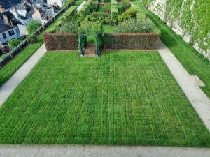 Photo de galerie - Tonte de pelouse