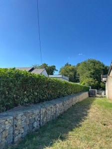 Photo de galerie - Taille de haies et d'arbustes