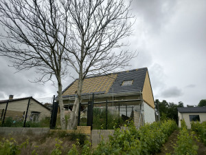 Photo de galerie - .