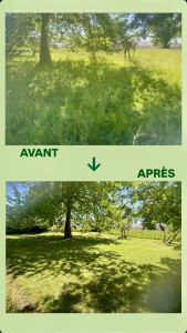 Photo de galerie - Bonjour aujourd’hui nous avons procédé à une tonte de pelouse et du débroussaillage sur un jardin de 1100 m². En quelques jours. Seulement nous vous débarrassons l’herbe et nous vous laissons l’espace propre.EFC Nettoyage