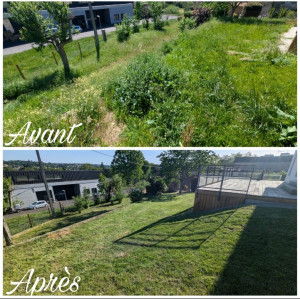 Photo de galerie - Gros nettoyage de printemps ?