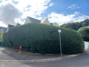 Photo de galerie - Jardinier