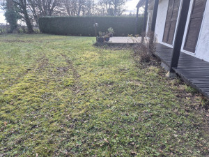 Photo de galerie - Ramassage de feuilles 