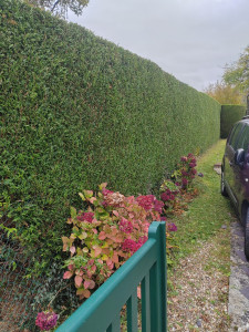 Photo de galerie - Après 