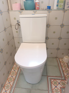 Photo de galerie - Remplacement d'un ancien wc par un neuf.
