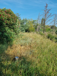 Photo de galerie - Avant 