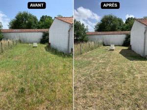 Photo de galerie - Tonte de Pelouse