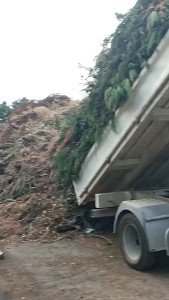 Photo de galerie - Taille de haies et d'arbustes