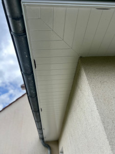 Photo de galerie - Peinture - Tapisserie