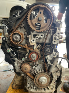 Photo de galerie - Distribution